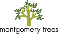 Montgomery Trees