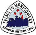 Selma Pin